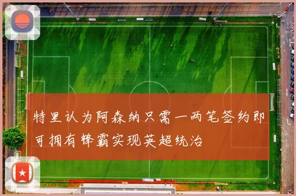 特里认为阿森纳只需一两笔签约即可拥有锋霸实现英超统治