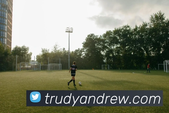 hth体育APP 封面图
